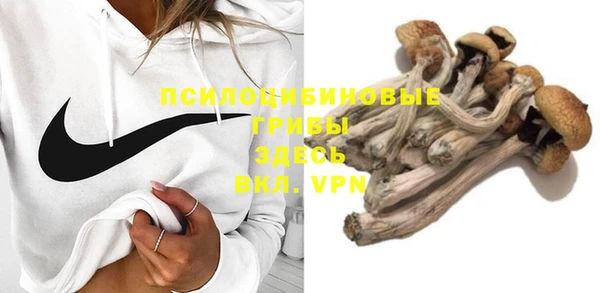 гидра Балахна