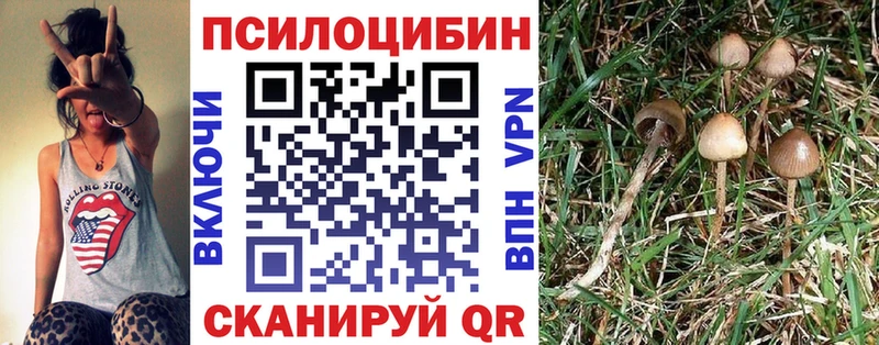 Псилоцибиновые грибы GOLDEN TEACHER  Купить  Трёхгорный 
