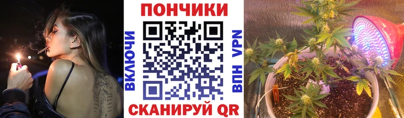 Шишки марихуана Amnesia  Купить закладки  Трёхгорный 